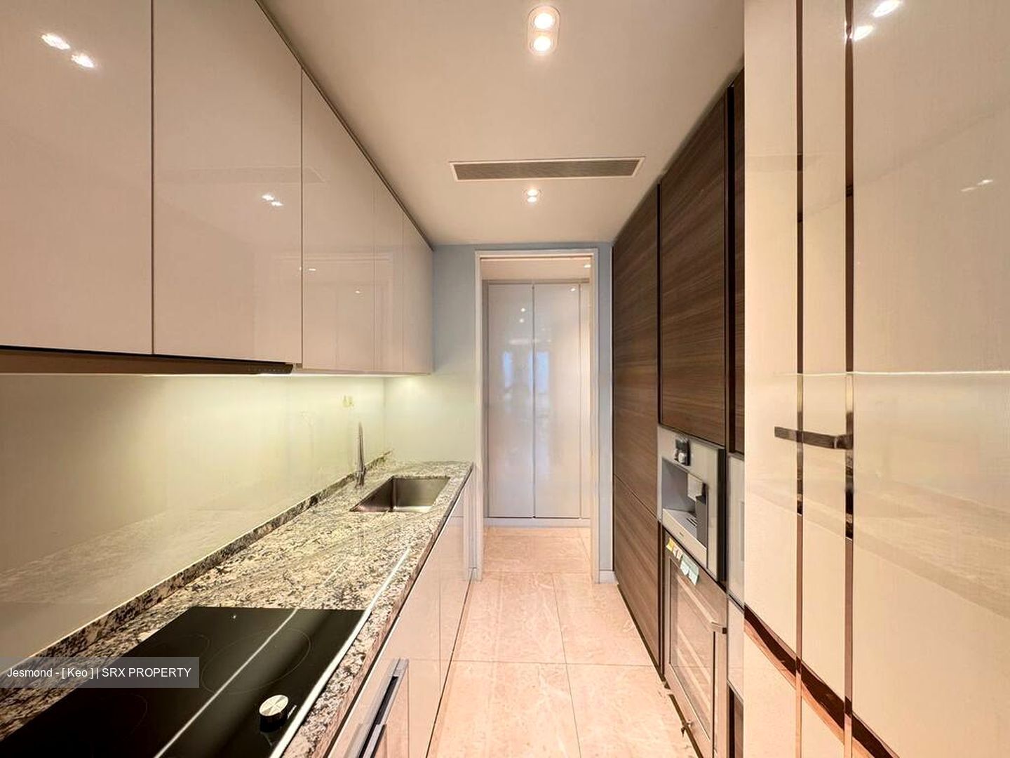 Wallich Street (D2), Condominium #483037871